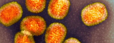 Cientistas acabam de descobrir que este vírus roubou um pedaço do nosso DNA... e agora o usa contra nós! 