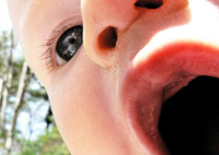 El destete (IV): cómo hacerlo