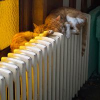 Apagar del todo la calefacción por la noche no siempre es lo que más ahorra, ni lo mejor para la salud. Esto hay que tener en cuenta 