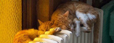 Apagar del todo la calefacción por la noche no siempre es lo que más ahorra, ni lo mejor para la salud. Esto hay que tener en cuenta 