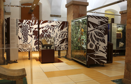Museu De La Xocolata