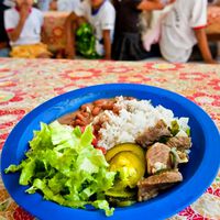 Proibir em casa não é suficiente: estudo da USP expõe a verdadeira "arma secreta" para derrubar o consumo de ultraprocessados entre os jovens 