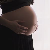 Un análisis de sangre permitirá predecir la calidad de óvulos de las mujeres antes de someterse a un tratamiento de fertilidad