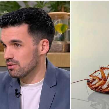 Andreu García, biólogo especialista en plagas, sobre las cucarachas: “Pueden entrar en casa por la cocina o incluso por el motor de la nevera” 