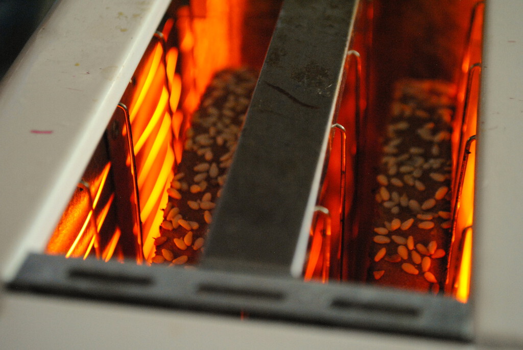 El electrodoméstico que hay que desenchufar para evitar incendios en la cocina. Al contrario que la mayoría, sí puede dar problemas