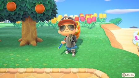 Animal Crossing: New Horizons: lista con todos los bichos de agosto