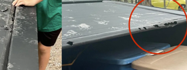 La Tesla Cybertruck dice ser resistente y "diseñada para cualquier planeta", pero no es a prueba de mapaches hambrientos: alguien aprendió de mal modo a no dejar comida en la batea