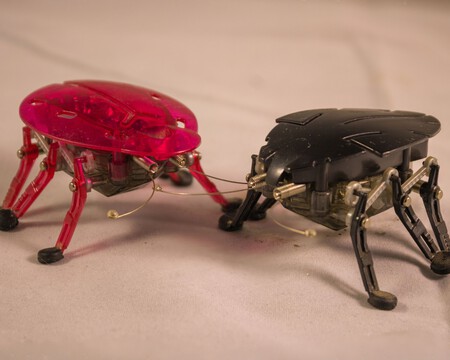 Sin Titulo 2500 X 2000 Px 21