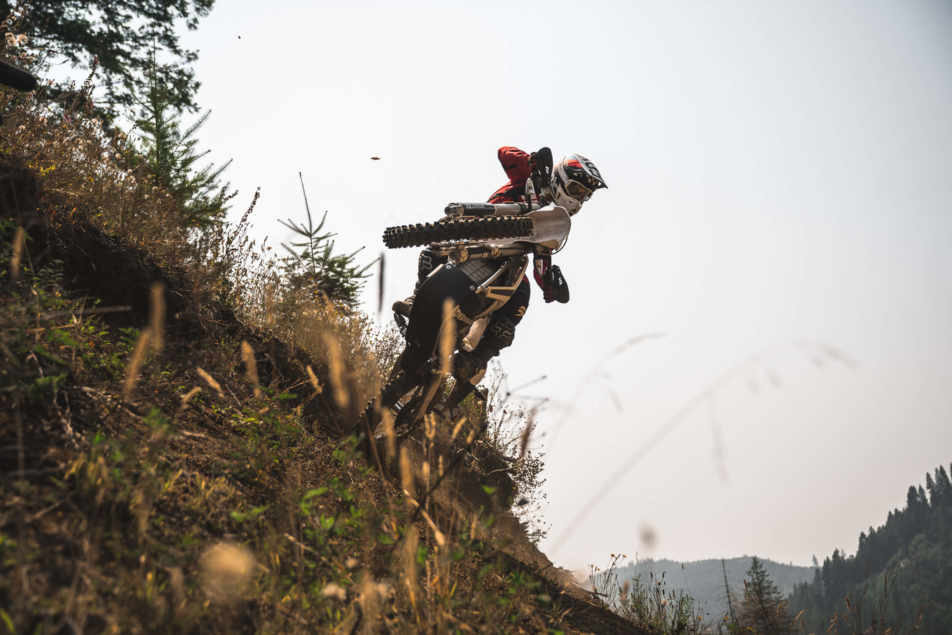 La Alta Motors Redshift EX se abre paso por el campo con 125 kg, 40 cv, 162 Nm y 3 horas de autonomía