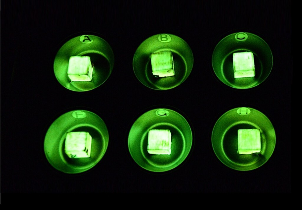 Parece imposible, pero estos científicos han inventado la madera que brilla en la oscuridad para no necesitar bombillas eléctricas
