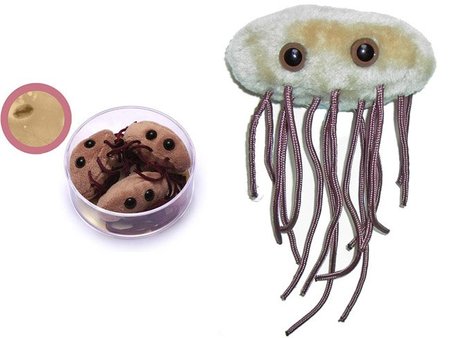 Peluche de la bacteria E. Coli