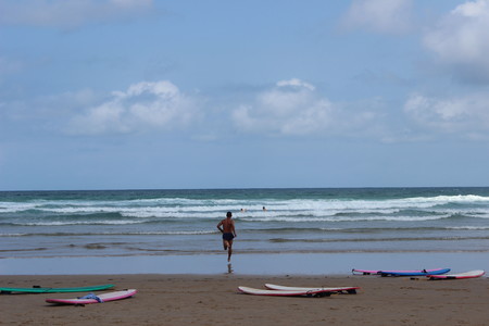 ¿De dónde procede exactamente el olor a playa? La respuesta es escabrosa
