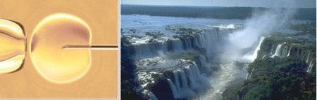 Auge del turismo reproductivo en Argentina