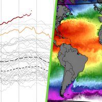 Los expertos comienzan a ponerse nerviosos: "probablemente registramos la temperatura más alta del mar desde hace 125,000 años"