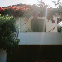 Esta es la sombrilla para terraza que Carrefour está liquidando a mitad de precio: protege hasta de la lluvia  