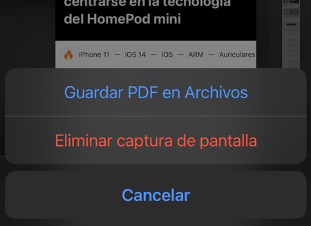 Iphone Captura Pantalla 3