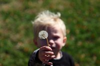 A los siete meses los bebés ya entienden otros puntos de vista