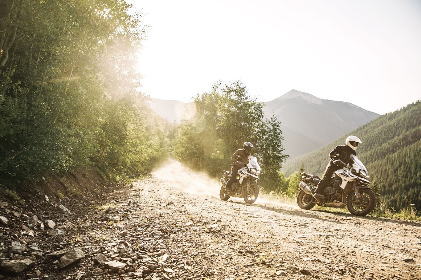 De la Royal Enfield Himalayan a la Ducati Multistrada 1260: las 13 mejores motos trail del año