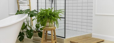 Lidl pone a la venta mañana la estantería de ducha que no necesita taladros: ideal para ordenar el baño