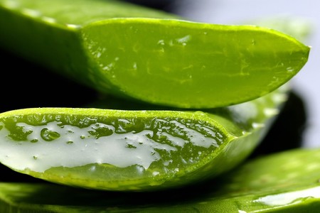 Descubre los beneficios que el aloe vera tiene en tu cuerpo
