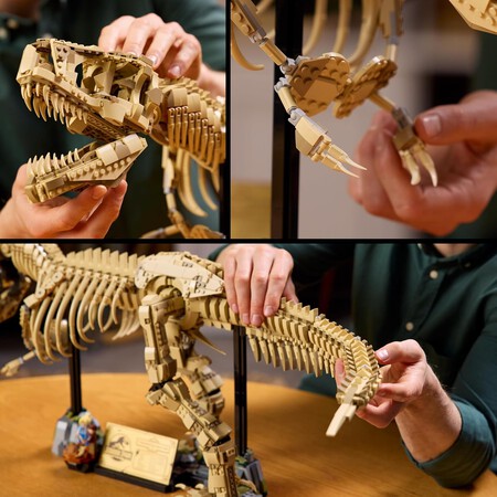 Lego Jurassic World Fosiles De Dinosaurio Lego
