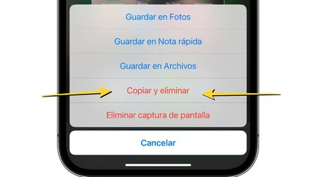 Copiar Y Eliminar Captura