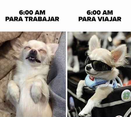 Meme Madrugar