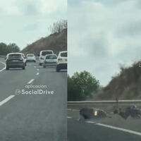 Terrible accidente en Málaga: un scooter choca solo contra el quitamiedos y los ocupantes salen volando