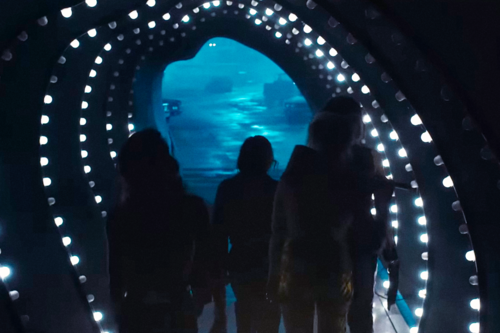 Hoy en TV: Ni el director John Wick pudo salvar del fiasco a la peor película de superhéroes de DC (para muchos) de la última década, Aves de presa