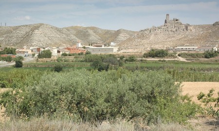 Roden