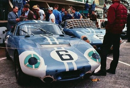 Shelby4