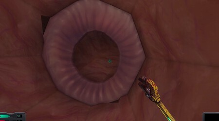 Recurso Adicional Esfinter System Shock 2