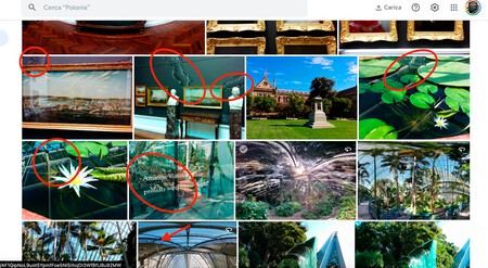 Defectos Google Fotos