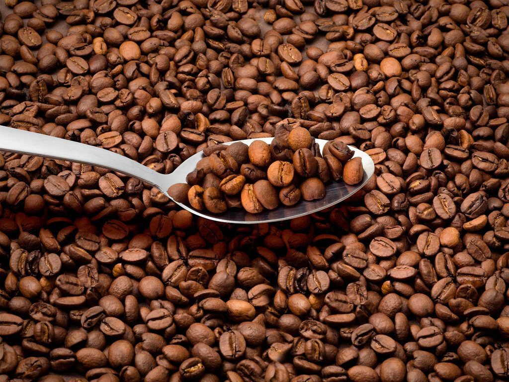Nos han dicho siempre que el café no se tiene que meter en el congelador. Los mejores baristas tienen claro que eso no es así