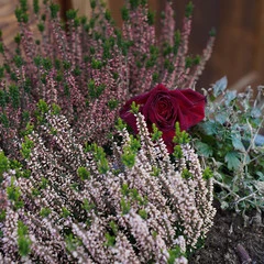 Foto 5 de 17 de la galería sony-a7-iii-muestras-toma-de-contacto en Xataka Foto