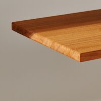 La "supermadera" entra al fin en proceso de fabricación: la gran promesa de obtener un material más fuerte que el acero