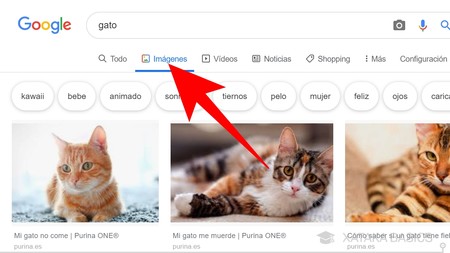 Resultado de imágenes de Google para