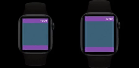 Apple Watch Series 4 のセーフゾーン