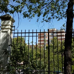 Foto 19 de 19 de la galería fotos-con-el-moto-e4 en Xataka Android