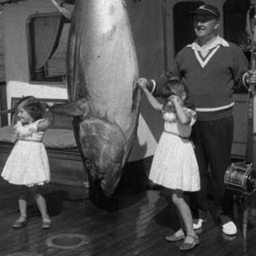 'Los archivos secretos del NO-DO'