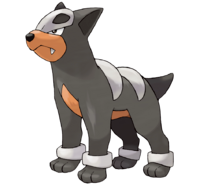Houndour