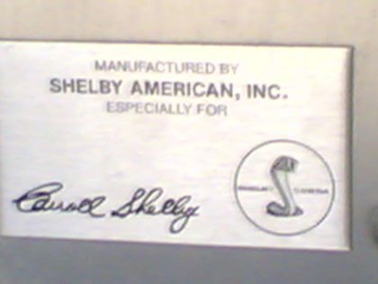 Shelby Inside
