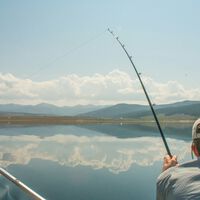 Cuando un pescador sale a por atunes rojos en España debe devolverlos al mar. Misterios de la vida, todos mueren "accidentalmente"