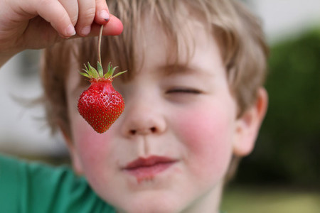 Alimentos adecuados para ofrecer a los peques en la playa