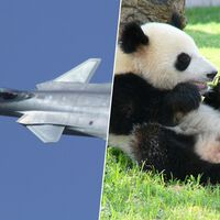 A China não precisa de bombas ou mísseis para impor sua vontade; isso se chama "diplomacia do panda", e acaba de ser aplicada ao Japão 