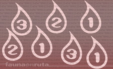 Cifras y letras en la seguridad vial