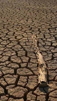 El Grupo Intergubenamental sobre el Cambio Climático (IPCC)