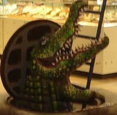 alligator