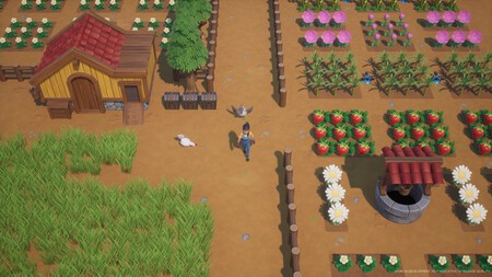 Coral Island 5359105