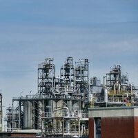 La eficiencia económica aumenta los beneficios pero nos hace vulnerables a los cisnes negros